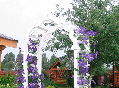 Деревянная садовая арка для цветов.