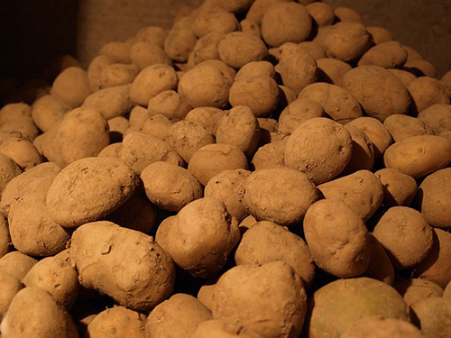 5 проблем с хранением картофеля