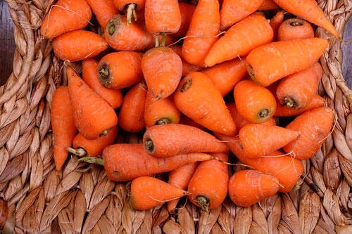 Как вырастить хороший урожай моркови  