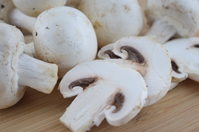 Как организовать домашний бизнес по выращиванию грибов